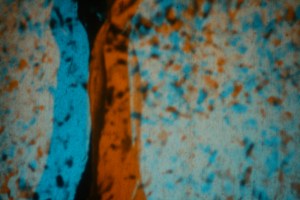 IMG_6019 Insecure of Footing 2009