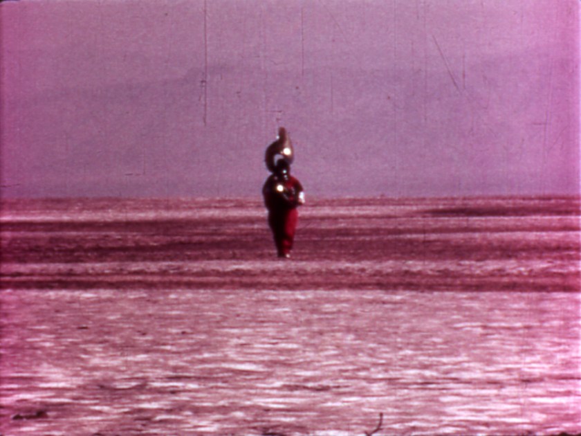 ChickStrand-Anselmo01-600dpi